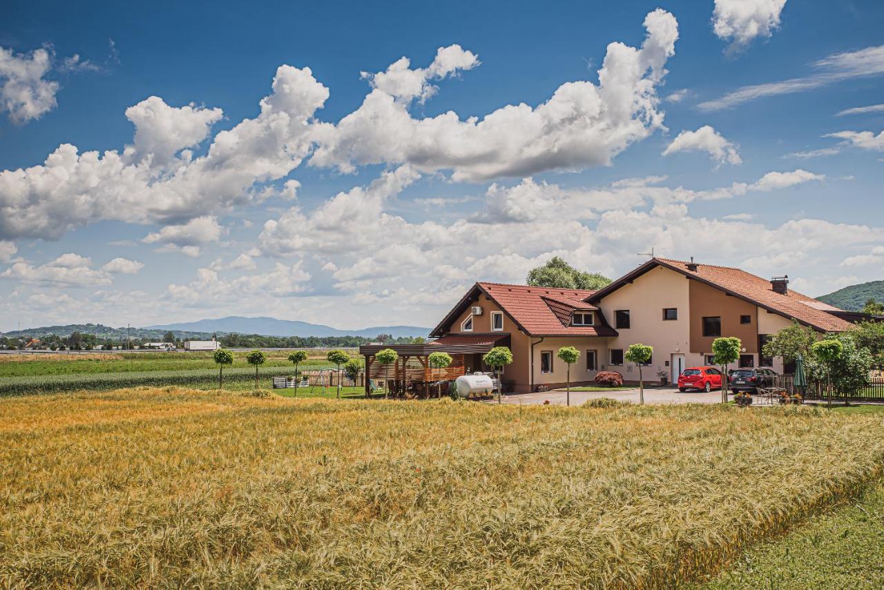 Lux Living Apartments Budic Near Terme Catez Brežice Zewnętrze zdjęcie