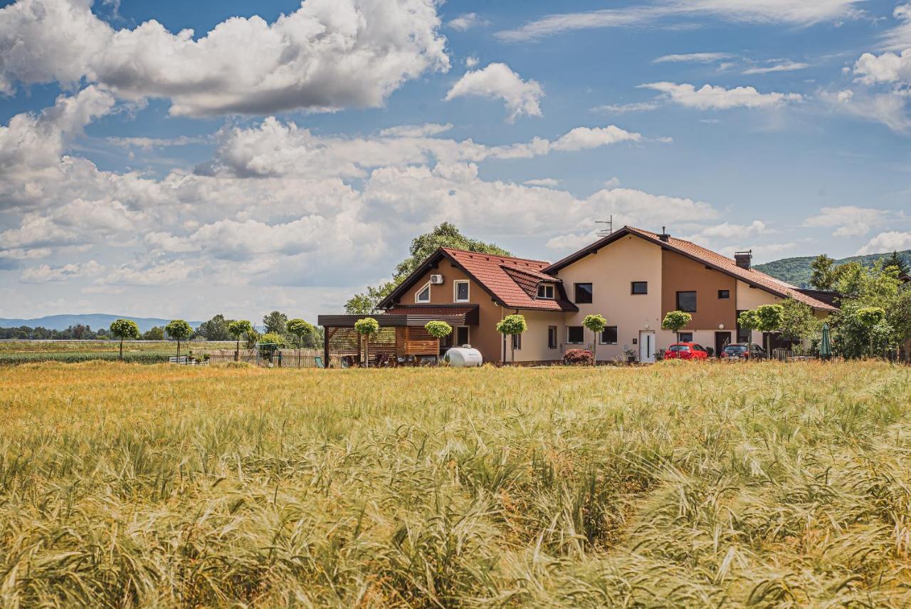 Lux Living Apartments Budic Near Terme Catez Brežice Zewnętrze zdjęcie