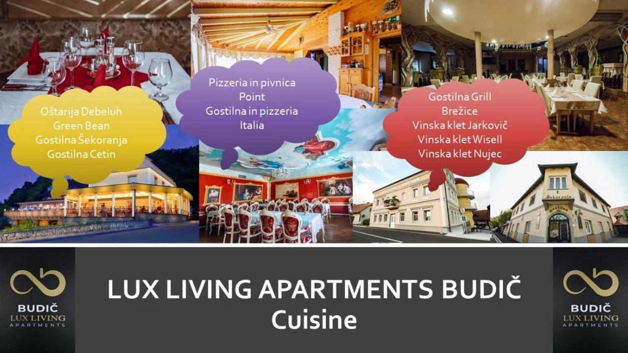 Lux Living Apartments Budic Near Terme Catez Brežice Zewnętrze zdjęcie